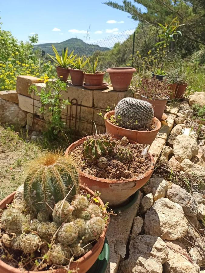 La Casa Dei Sogni Otel Agira Dış mekan fotoğraf